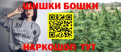 a pvp Гатчина