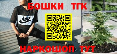 гашик Гай