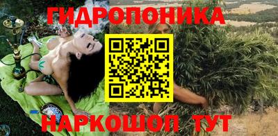 гашик Гай