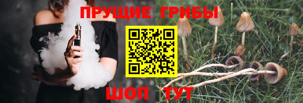 Псилоцибиновые грибы Cubensis Новосибирск